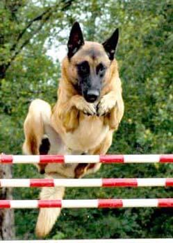 CapoJump